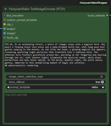 HunyuanVideo TextImageEncode(IP2V) ノードの画像